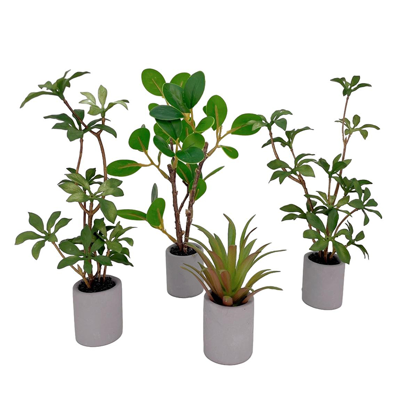 Bonsai Garden Accessories - 1:6 кукольный домик, миниатюрное растение в