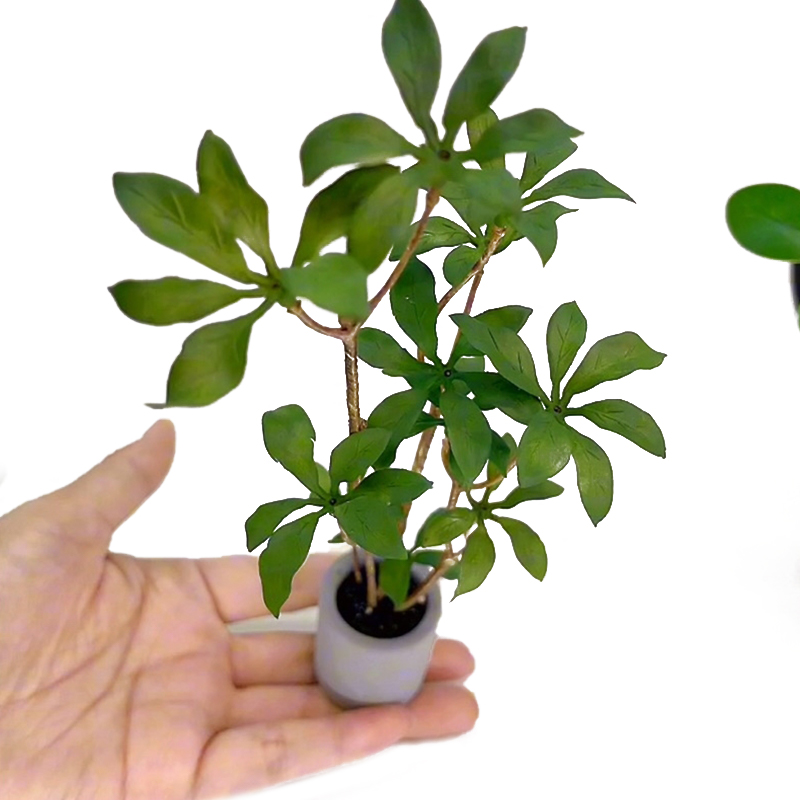 1:6 миниатюрный кукольный доми – обзор и цена Bonsai Garden Accessories