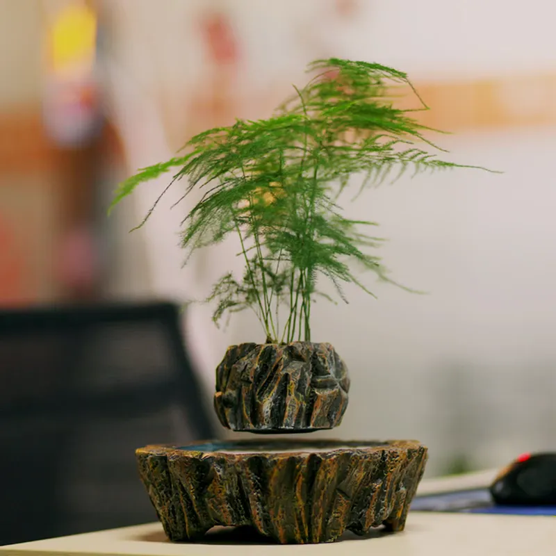 Электромагнитные левитирующие  – обзор и цена Bonsai Vertical Garden