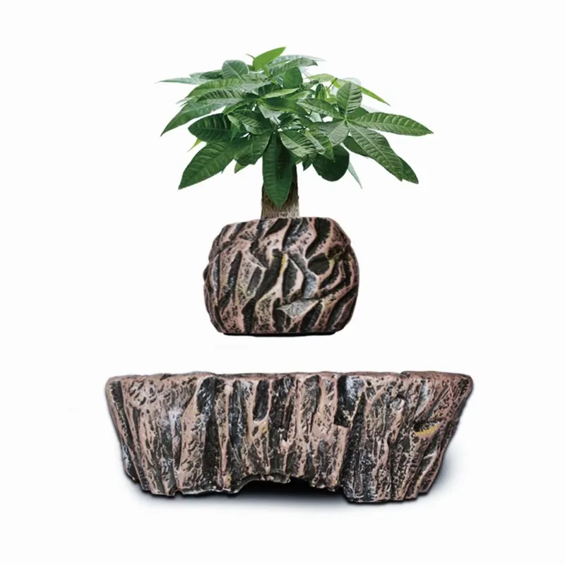 Электромагнитные левитирующие  – обзор и цена Bonsai Vertical Garden