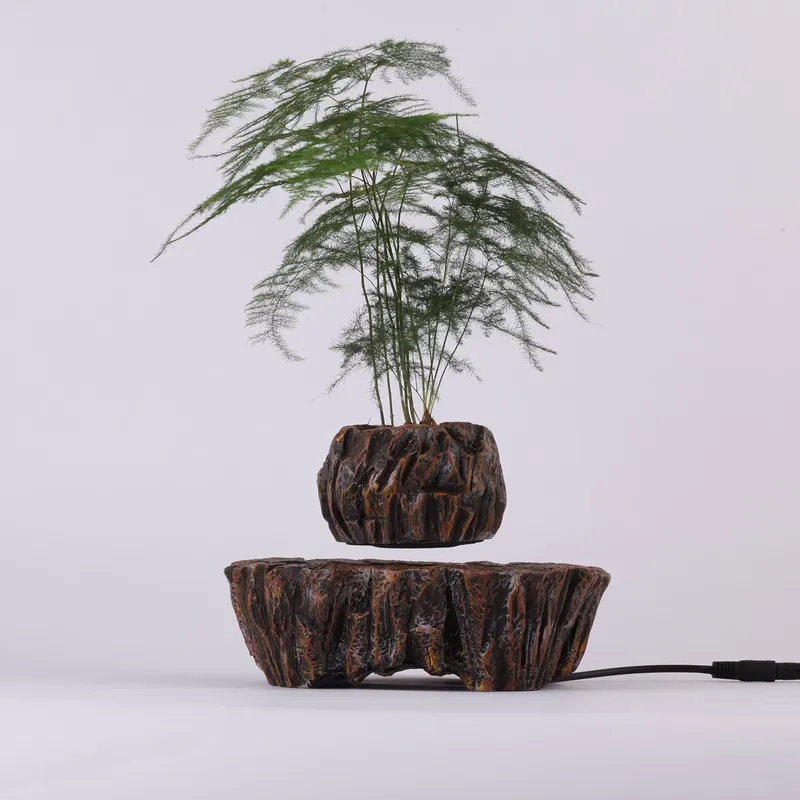 Электромагнитные левитирующие  – обзор и цена Bonsai Vertical Garden