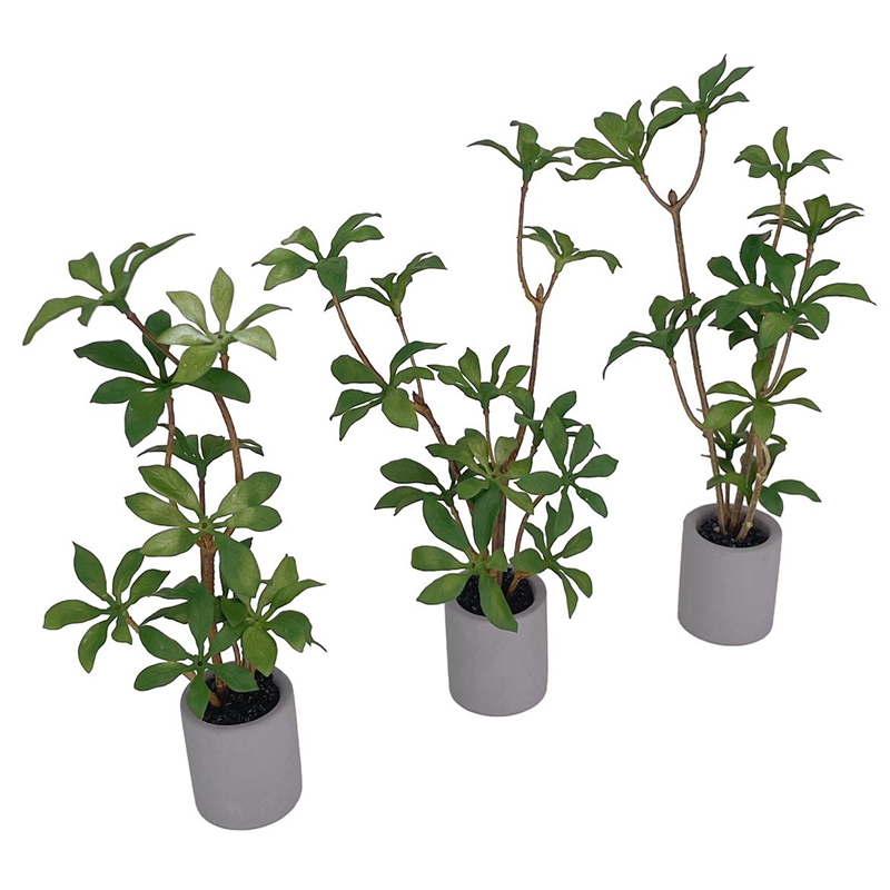 1:6 кукольный домик, миниатюрн – обзор и цена Bonsai Garden Accessories