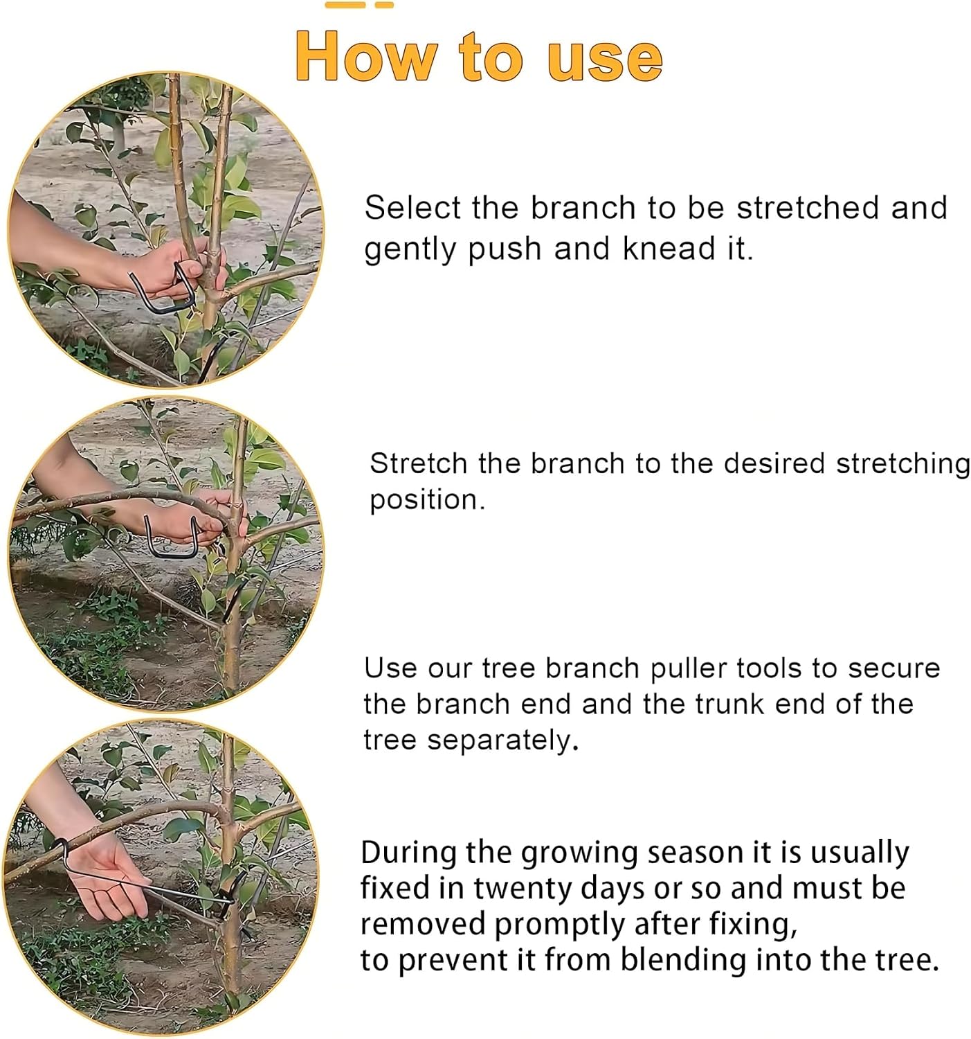 Регулируемый формирователь вет – обзор и цена Bonsai Garden Tree