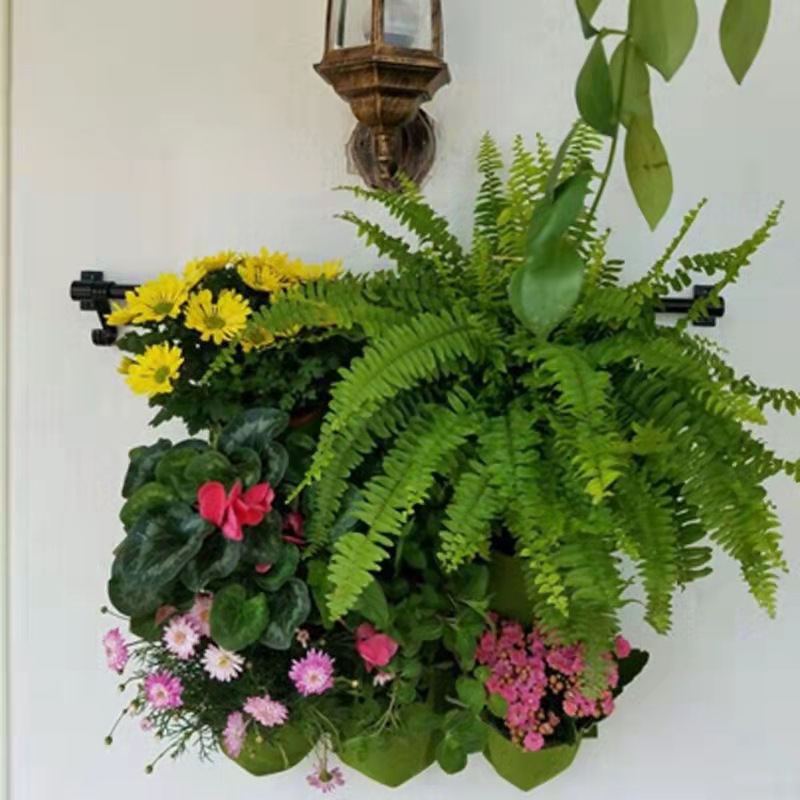 Настенный мешок для посадки с  – обзор и цена Bonsai Vertical Garden