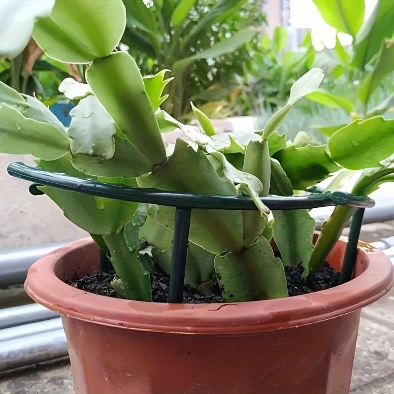 30-1 шт. Пластиковая полукругл – обзор и цена Bonsai Garden Accessories