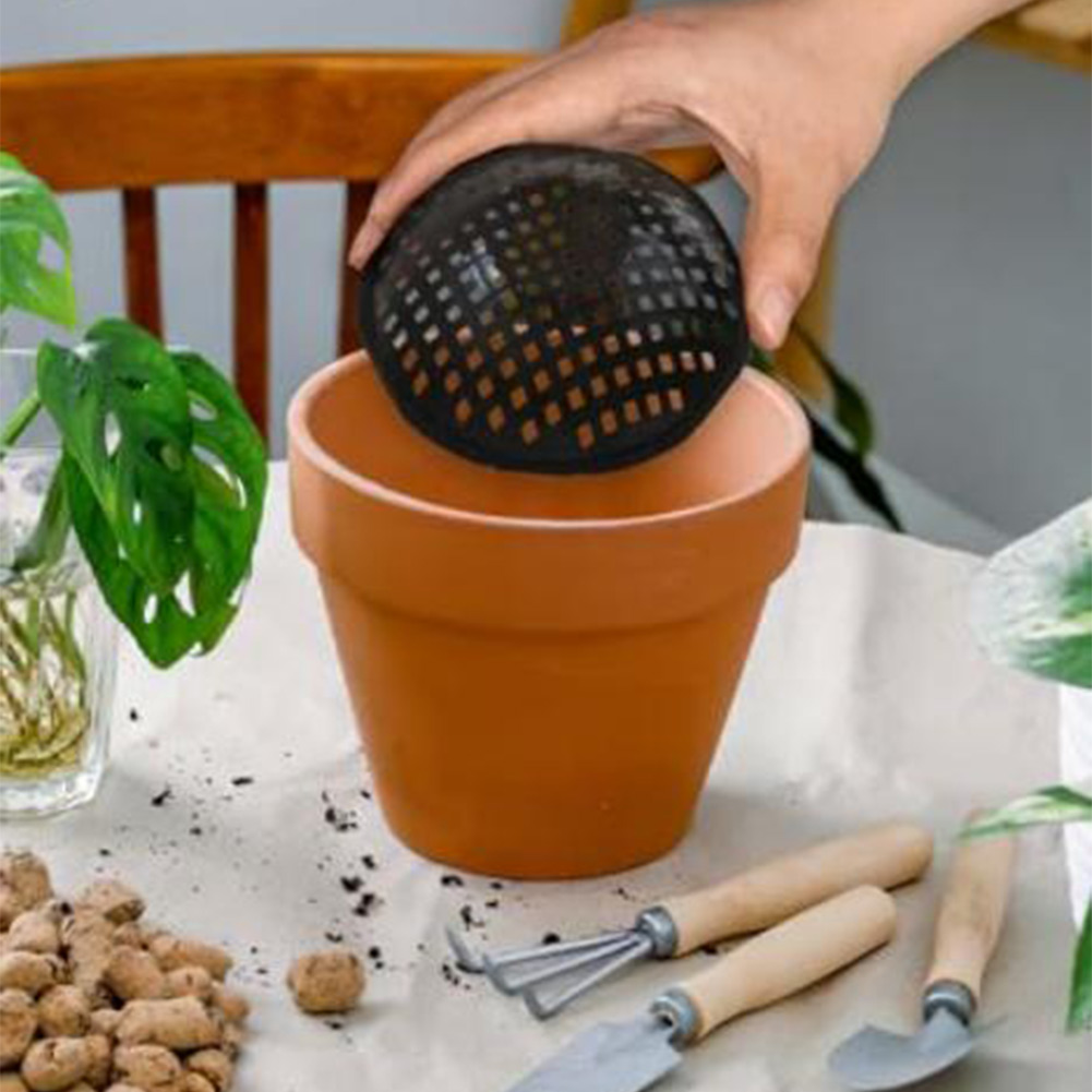 20/30 шт. сетчатые подкладки д – обзор и цена Bonsai Garden Accessories