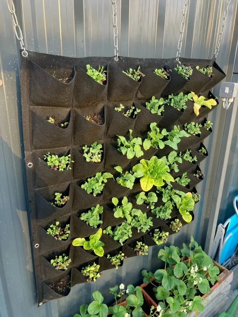 Настенный подвесной мешок для  – обзор и цена Bonsai Vertical Garden